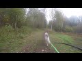 Чемпионат России. 2й день. DBW