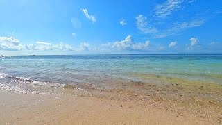 🌊Tropical Heaven: 3 Hours of Relaxing Ocean Ambience🌴