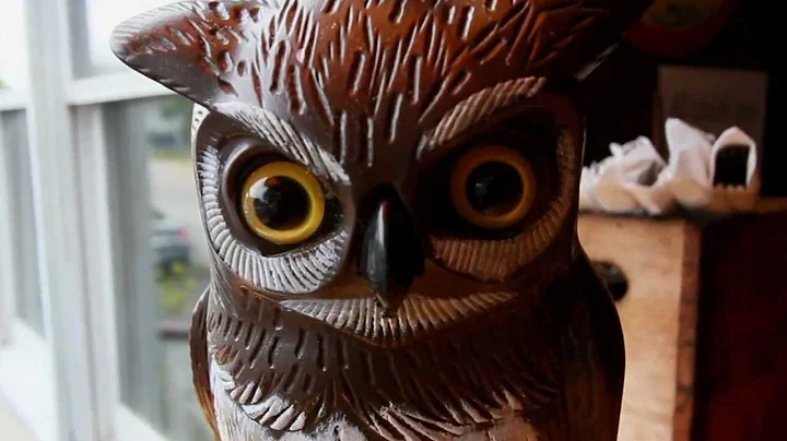 Edgar Allan Poe Expert Teaches College of Charlest...