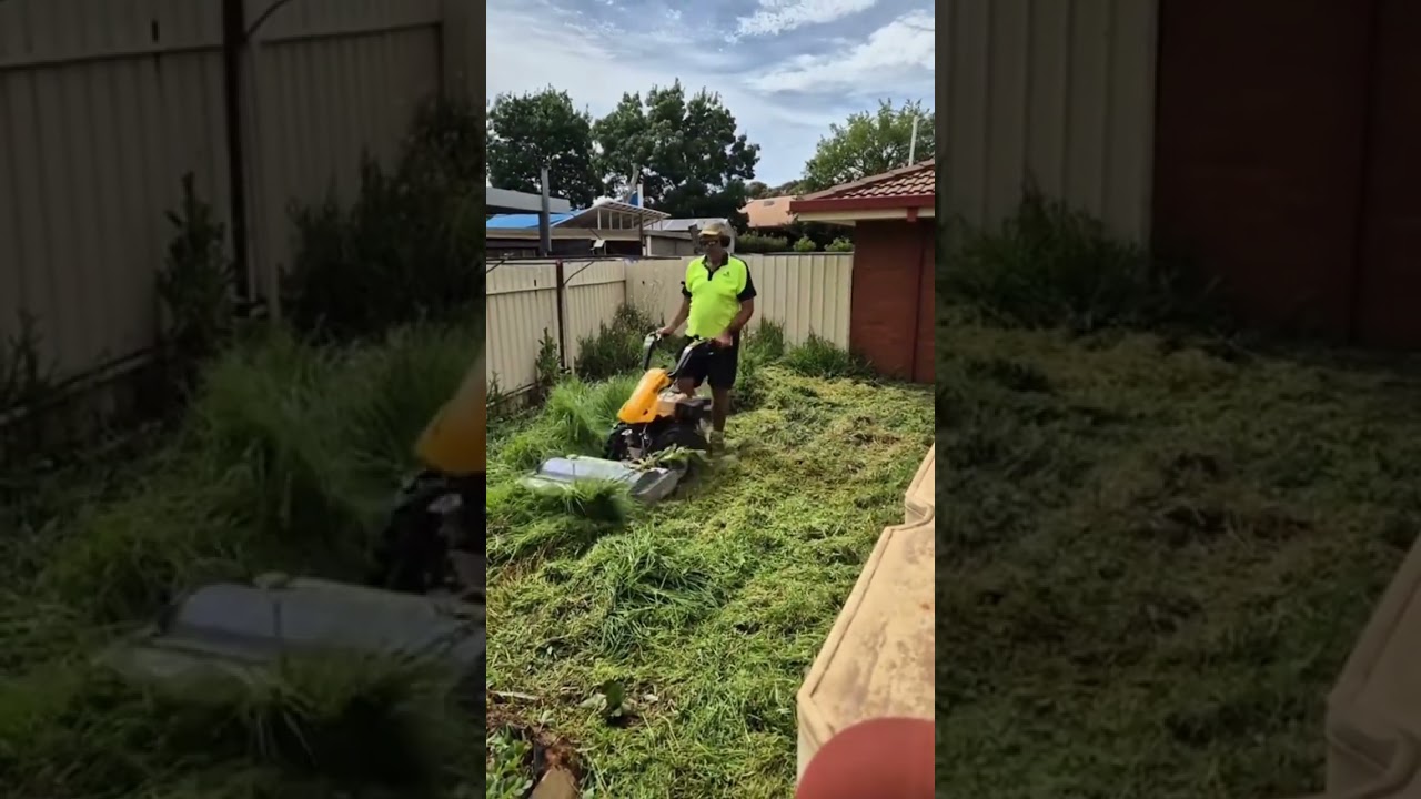 Don’t let an overgrown yard take over! 📞 Call 131 546 for a free quote today! #JimsMowing Don’t let an overgrown yard take over! 📞 Call 131 546 for a free quote today! #JimsMowing