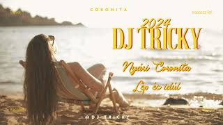 Dj Tricky - Nyári Coronita Lép És Indúl