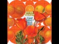 Brian Wilson Lucky Old Sun
