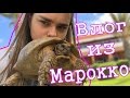 Влог из Марокко