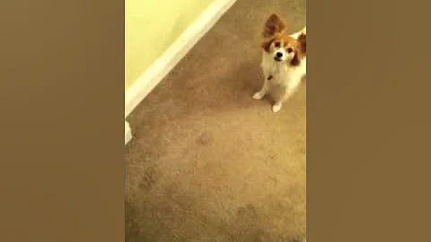 Pranks on mom