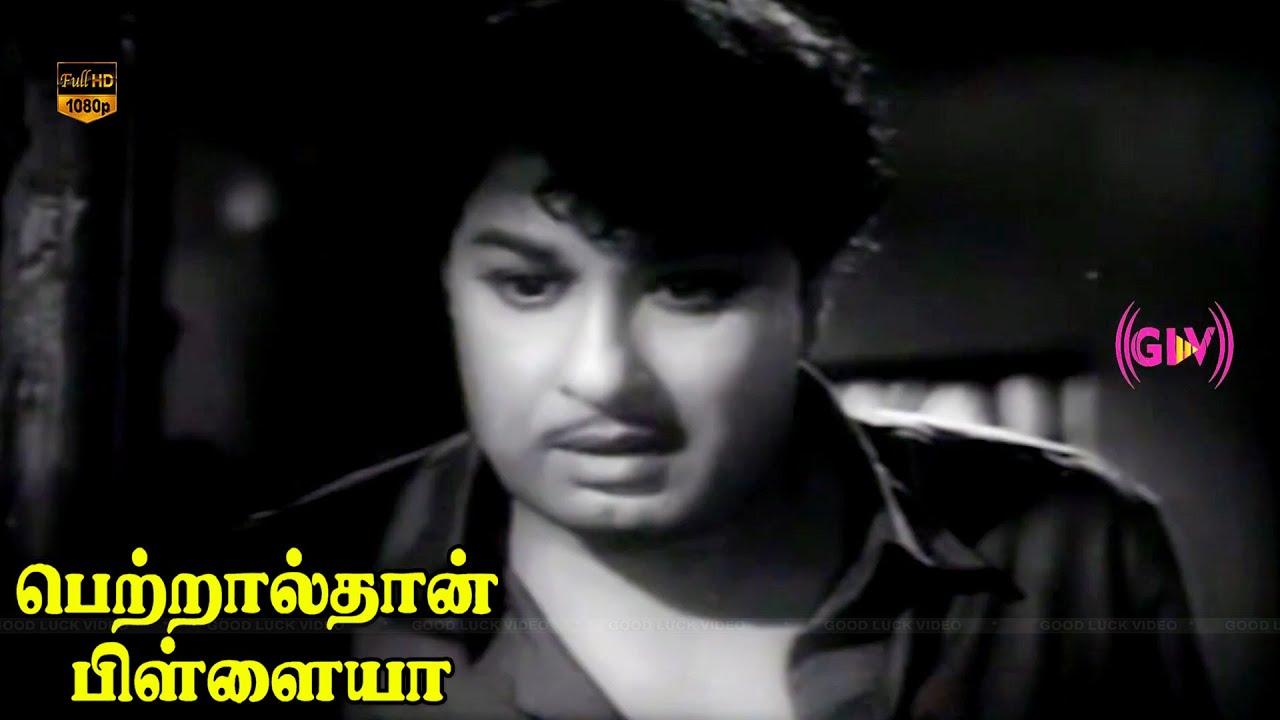 Chellakkiliye Mella Pesu Song | Sad Version | Mgr | M. S. Viswanathan, T. M. Soundararajan