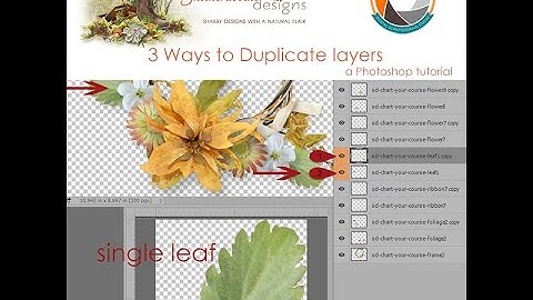 3 Ways To Duplicate Layers in Photoshop