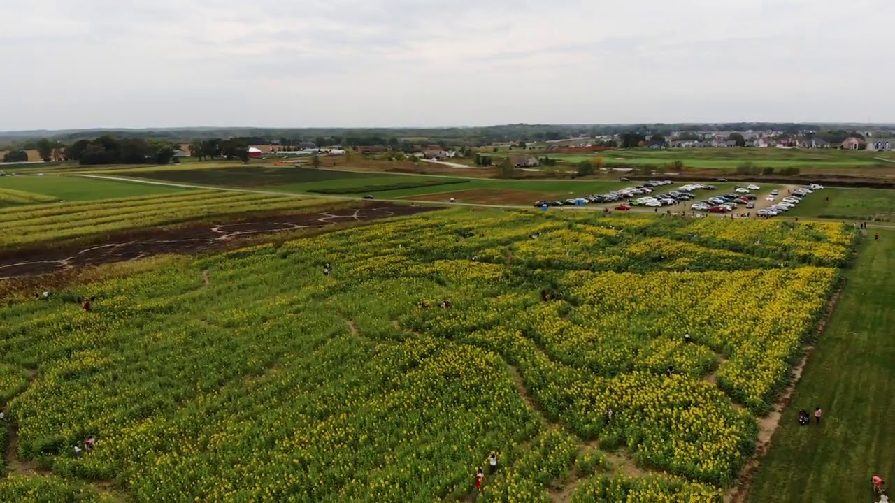 Thompson Strawberry Farm Bristol WI. YouTube