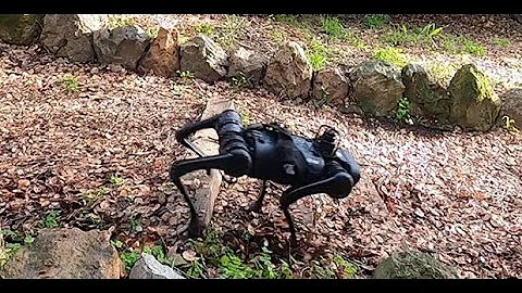 RMA Rapid Motor Adaptation for Legged Robots