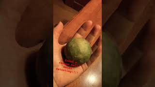 Civil War grapeshot cannonball found 😮#civilwar ￼