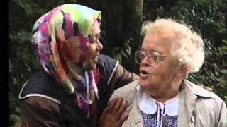 Een kampong in Friesland