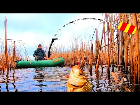 С ЭТОЙ СНАСТЬЮ ВСЕГДА БУДЕШЬ С РЫБОЙ. Рыбалка в камыше на боковой кивок