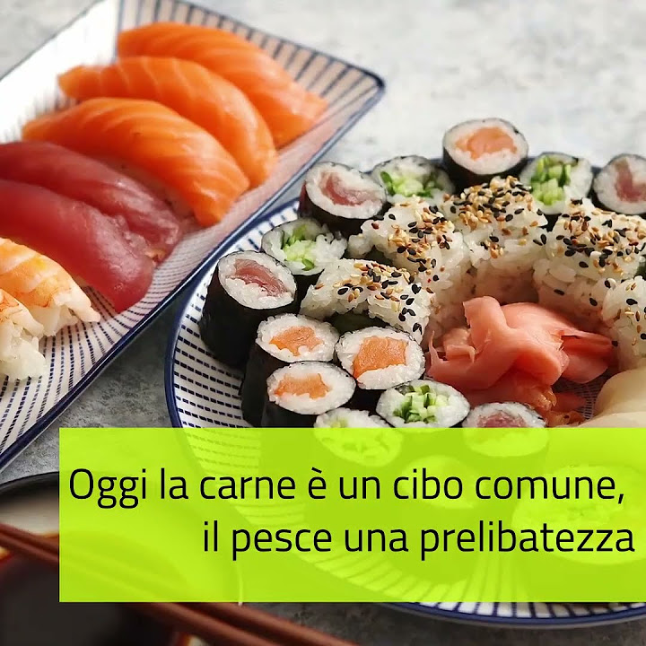 Quando Non Si Mangia Carne A Pasqua Perché non si mangia carne nei venerdì di Quaresima - YouTube