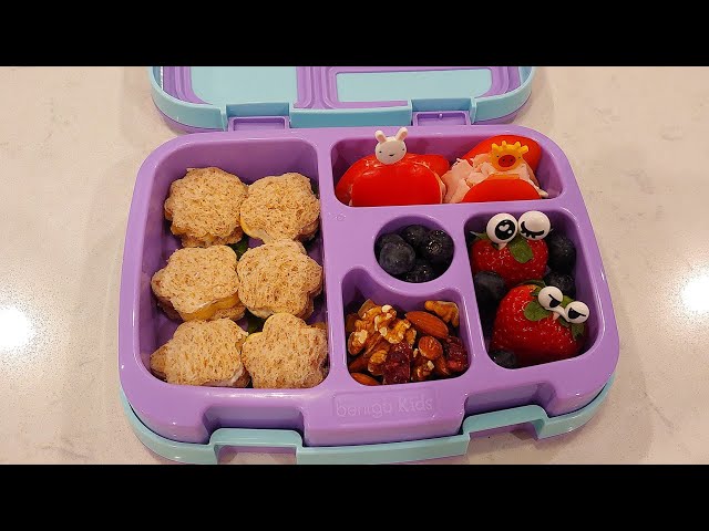 Bento Lunch Box Recipes and Tips for Kids and Adults - Bengto Blog – Bentgo