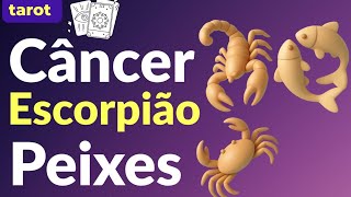  🦀🦂🐟Previsões do tarô: SIGNOS do Elemento Água 