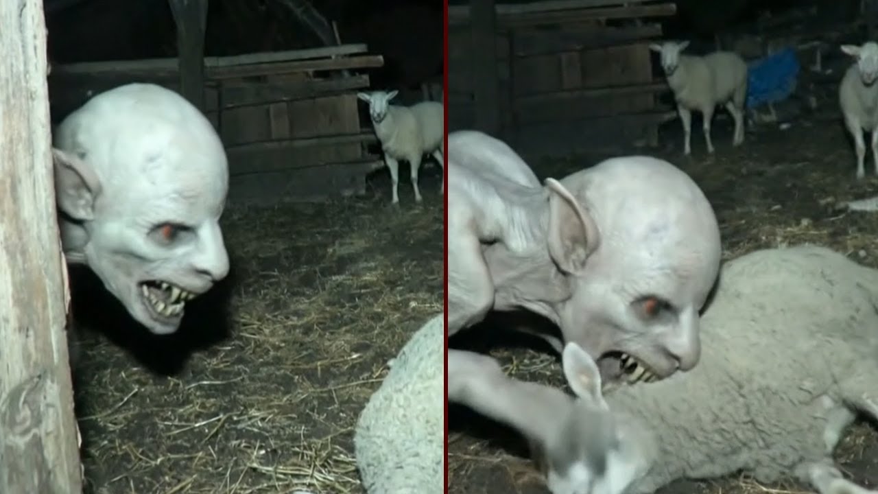 Fazendeiro registrou 47 ATAQUES DE CHUPACABRA em 8 anos — ATAQUE HORRÍVEL DA CHUPACABRA.