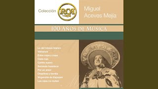 Video voorbeeld van "Miguel Aceves Mejía - No Volvere"