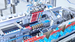 Fullyautomated Packaging Line Loading Tubes into Cartons