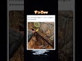 男なら憧れるよなぁw #shorts#tiktok#Twitter#おもしろ#お笑い#おすすめ#テント #サバイバル #面白い#おもしろ動画#爆笑#バズれ