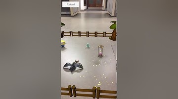 ARKit Demo (Apple iOS)