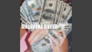Different Breed (Feat. Swae Lee & Latto)