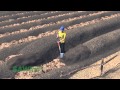 Survival Gardening: Raised Planting Beds in English (accent from USA) Survival Gardening: Raised Planting Beds in English (accent from USA)