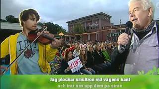 Alexander Rybak, Mats Paulson, Barfotavisan, Liseberg, 20.06.2011