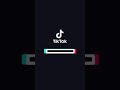 TikTok めっちゃボリューミー