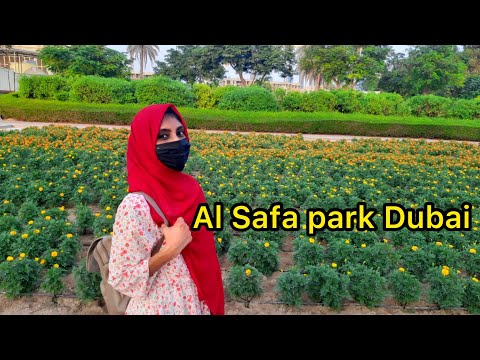Al Safa Park Dubai#weekendvlog#malayalam vlog