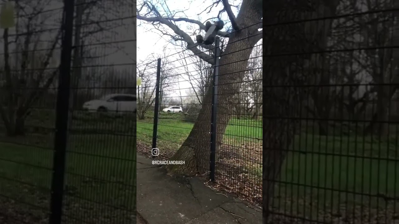 Arrma Big Rock climbing a tree 😁