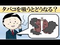 タバコを吸うとどうなる？やめるとどうなる？【喫煙・禁煙の影響】