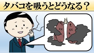 タバコを吸うとどうなる？やめるとどうなる？【喫煙・禁煙の影響】