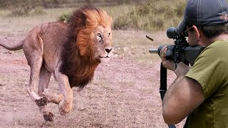 Hunter vs animal fury 😱👌👍 Part 1