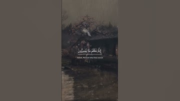 فَلَا يَحْزُنْكَ قَوْلُهُمْ ۘ , القارئ احمد خضر