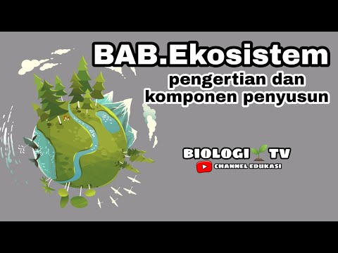 Video: Apakah tahap organisasi ekosistem?