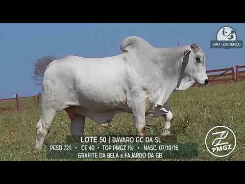 LOTE 50