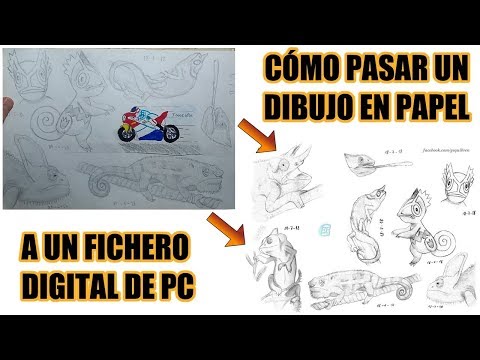 Vídeo: Com Arribar A Un Dibuix