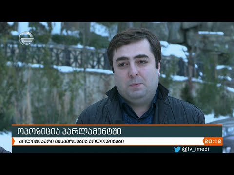 ანალიტიკოსები  საკანონმდებლო ორგანოში კიდევ რამდენიმე პოლიტიკური სუბიექტის შესვლას ელოდებიან