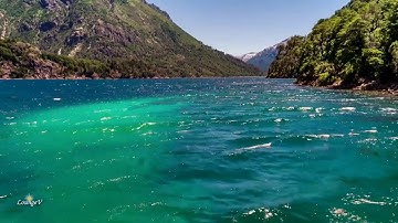 سورة الفجر 💙 بصوت القارئ/ الشیخ احمد العجمي❤