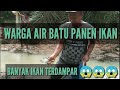 Virall...!!! WARGA AIR BATU PANEN IKAN Terdampar..
