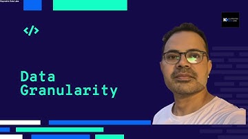 Data Granularity