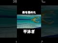 【水泳】平泳ぎを楽に泳ぐ方法。#shorts