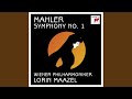 Miniature de la vidéo de la chanson Symphony No. 1 In D Major: Iv. Stürmisch Bewegt