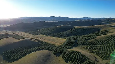 Live: How the Three-North Shelterbelt Forest Program combats desertification in China - DayDayNews