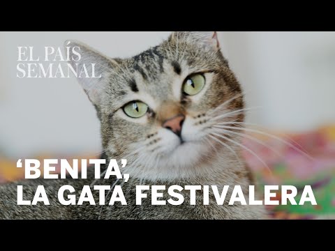 Ángel Carmona y ‘Benita’, la gata festivalera | Amos y mascotas | El País Semanal