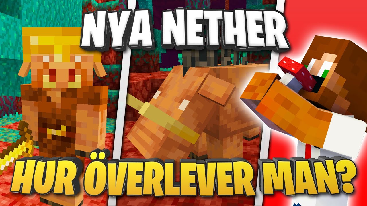 Hur Ser Man Koordinater I Minecraft