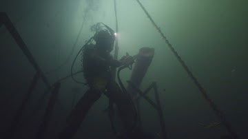 Below the Surface: Divers Institute of Technology