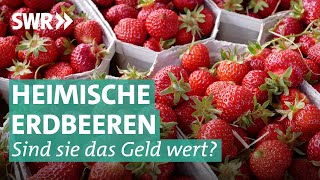 Erdbeeren – sind die teuren deutschen wirklich besser? | Marktcheck SWR