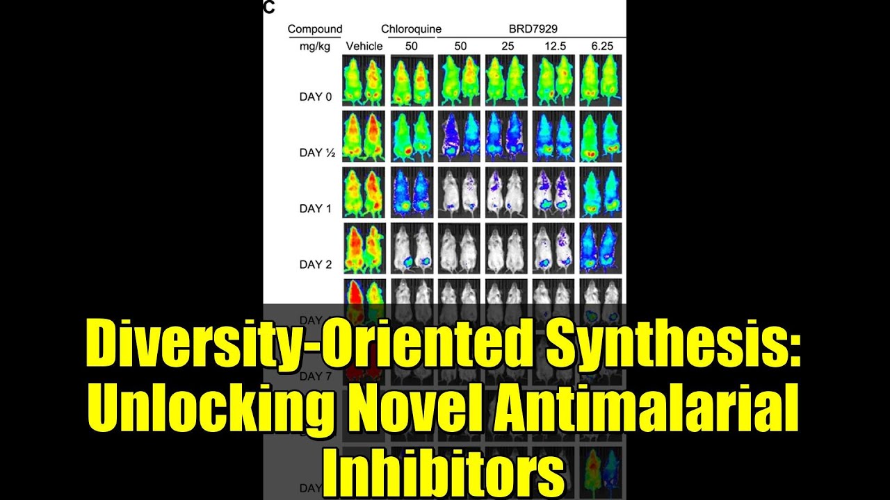 Синтез, ориентированный на разнообразие: открытие новых противомалярийных ингибиторов