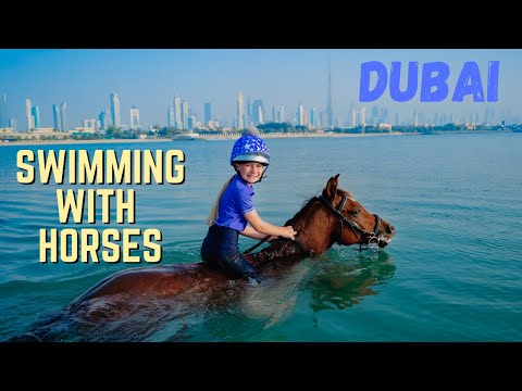 THIS WAS EPIC! HORSE RIDING AND SWIMMING IN THE SEA ON AN ARABIAN HORSE IN DUBAI!