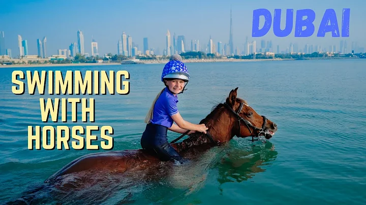 THIS WAS EPIC! HORSE RIDING AND SWIMMING IN THE SE...